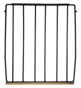 P03-ph2.png